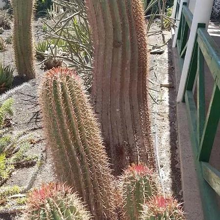 Casa vacanze De Cactualdea