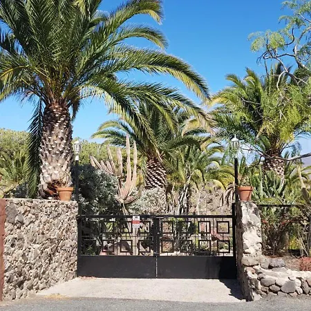 De Cactualdea San Nicolas