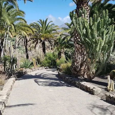 De Cactualdea Holiday home San Nicolas