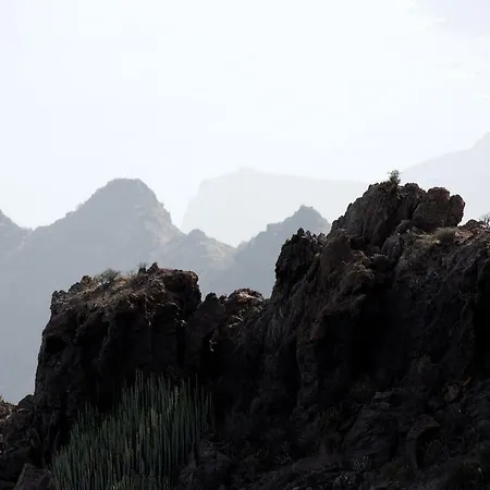 De Cactualdea San Nicolas